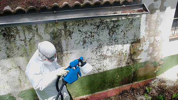 Top rated local Mold Remediation specialists in Haw River, NC